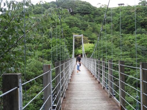 ながさき県民の森-6