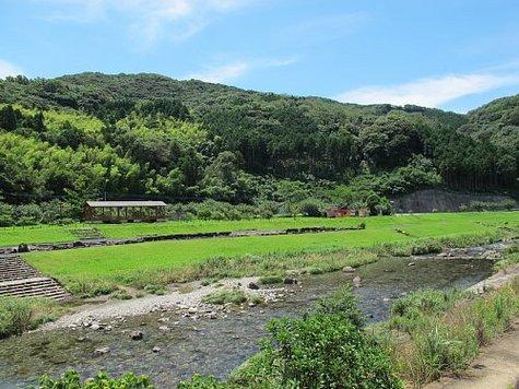 琴海花まつり イベント 公式 長崎観光 旅行ポータルサイト ながさき旅ネット