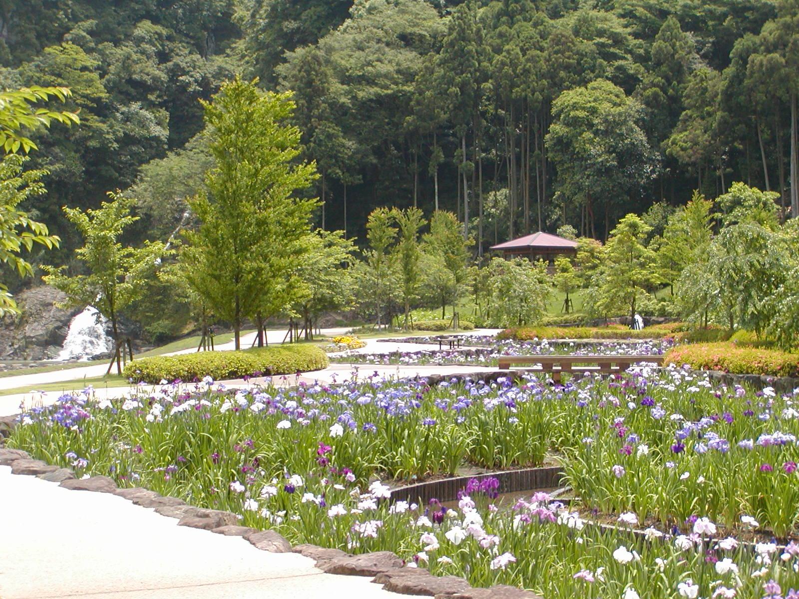 河川公園　やすらぎの里-0