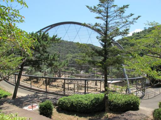 Osaki Peacock Park-2