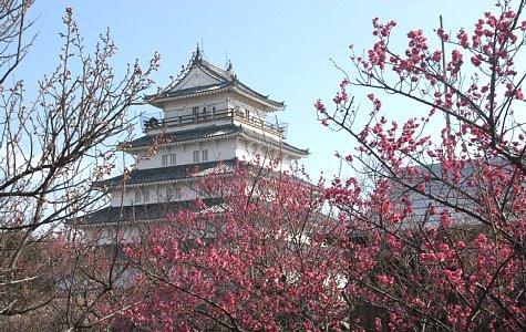 島原城の梅園-0