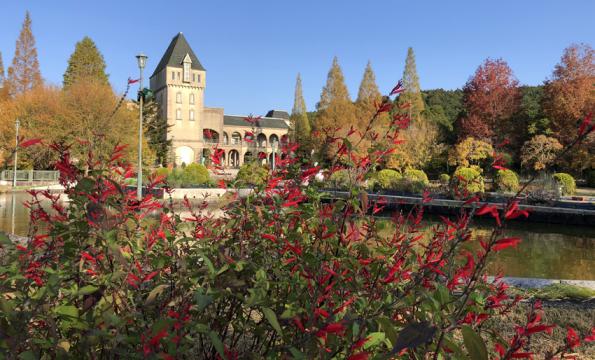 山茶花高原ピクニックパーク・ハーブ園-4