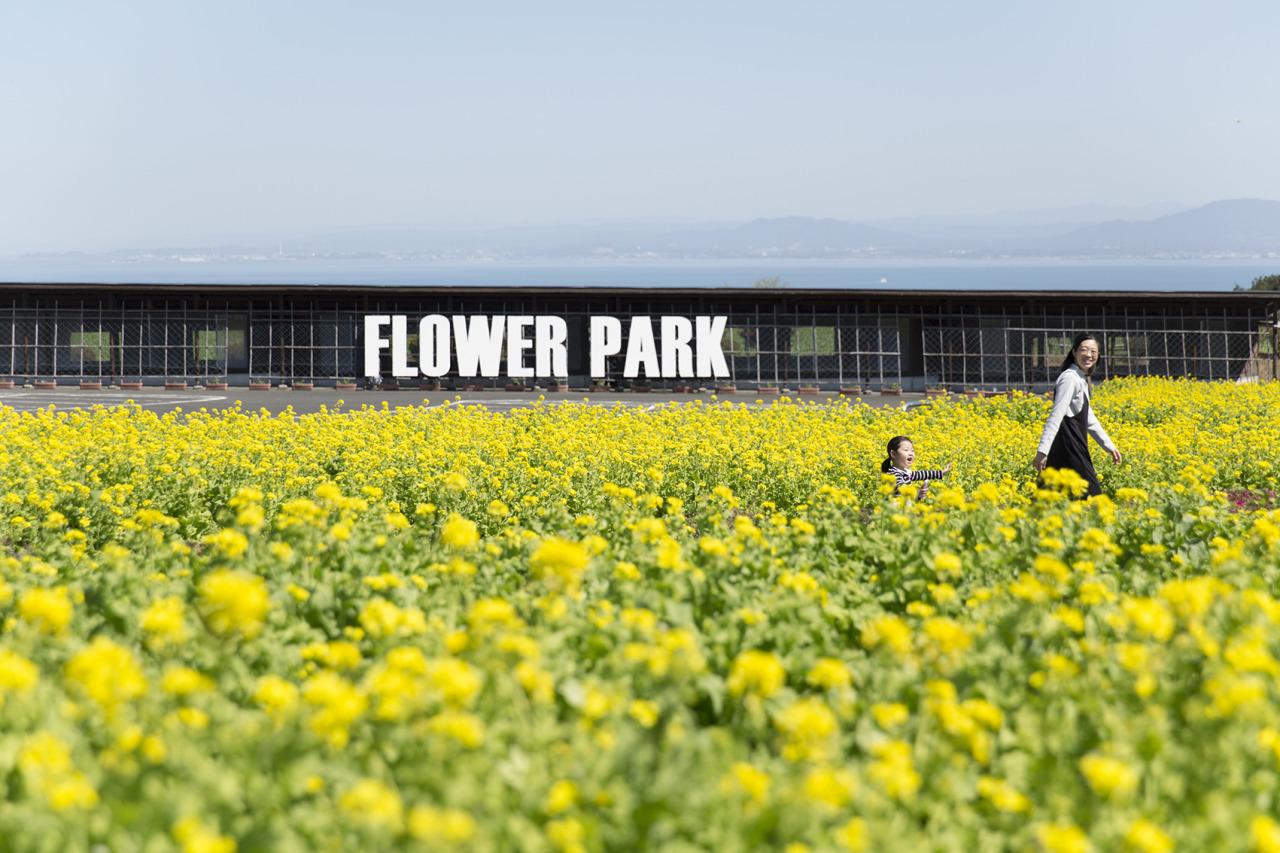 有明の森フラワー公園-2