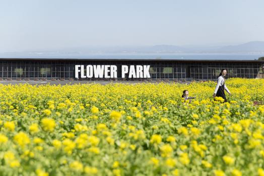 有明の森フラワー公園-2