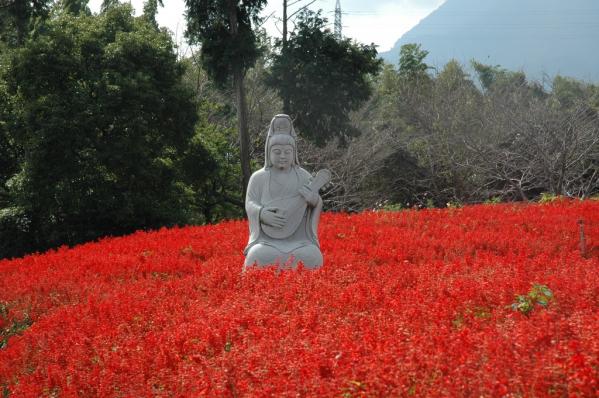 有明の森フラワー公園-0