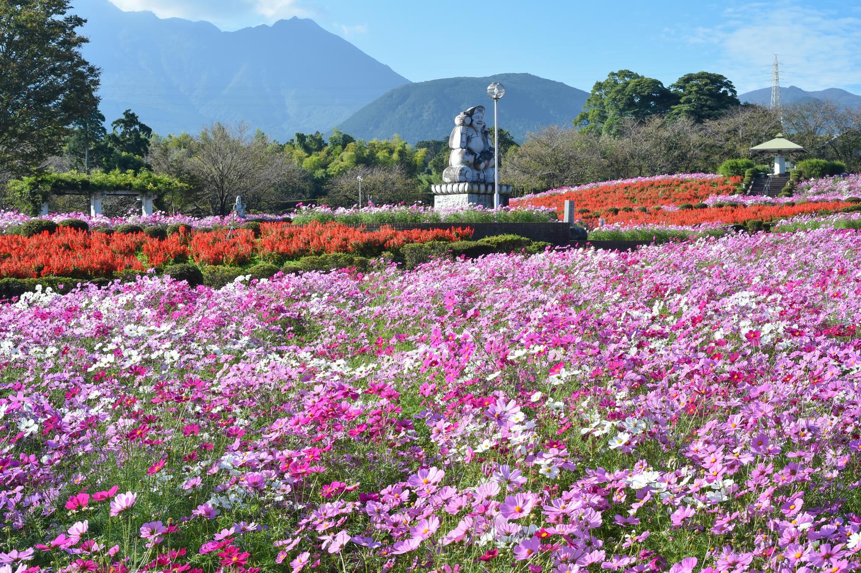 有明の森フラワー公園-0