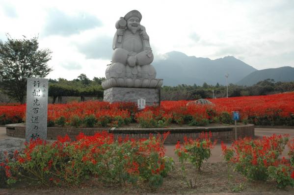 有明の森フラワー公園-1