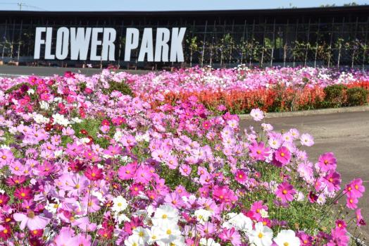 有明の森フラワー公園-3