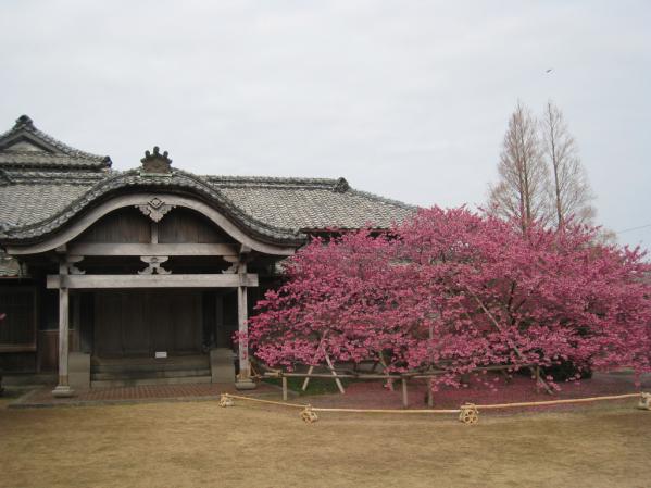 国見神代小路歴史文化公園鍋島邸-1