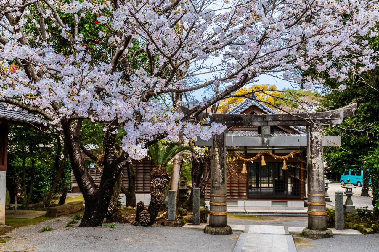 淡島神社-3