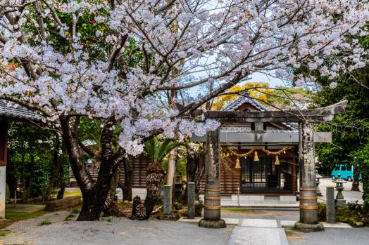 淡島神社-3
