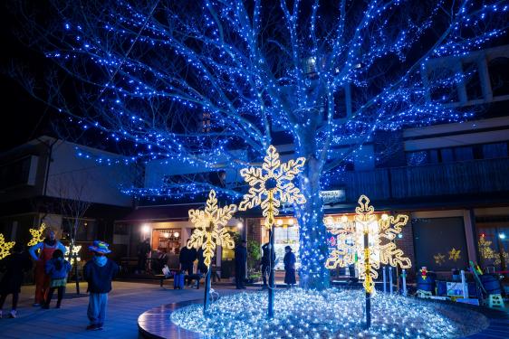 Unzen Akari No Hanaboro-2