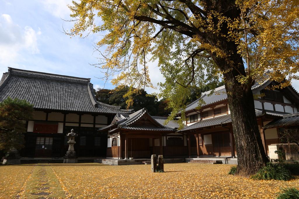 天祐寺・諫早家墓所-1