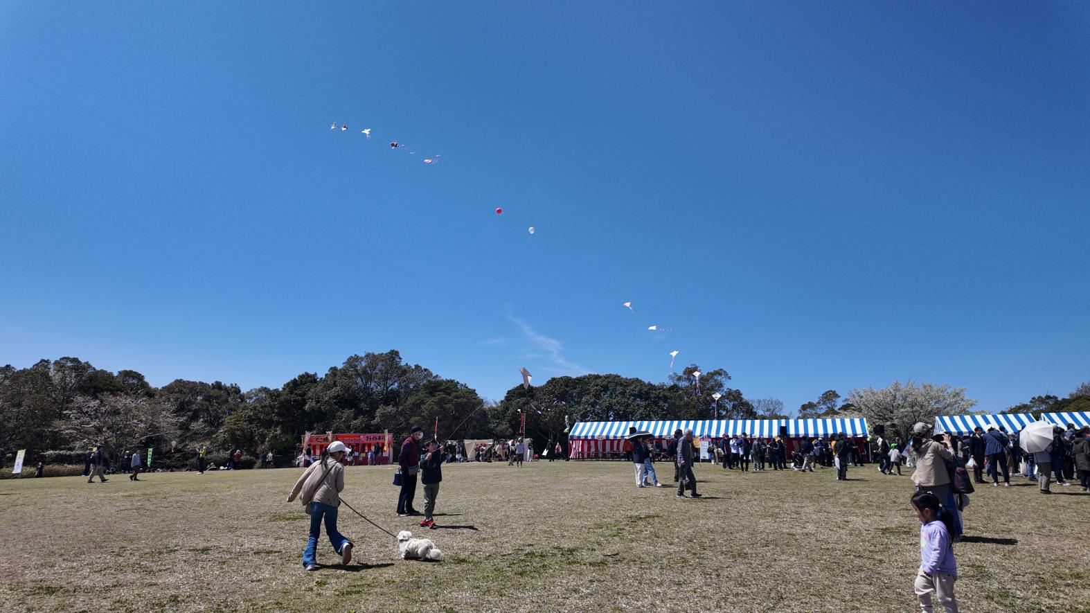 2025年大会の様子