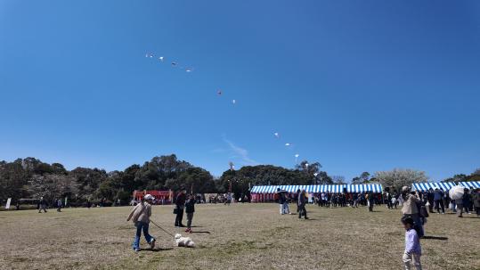 Nagasaki Kite-flying Tournament-0