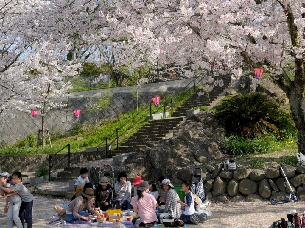 風頭公園桜まつり-2