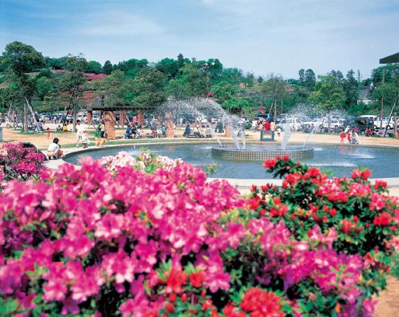 Mount Inasa Azalea Festival-0