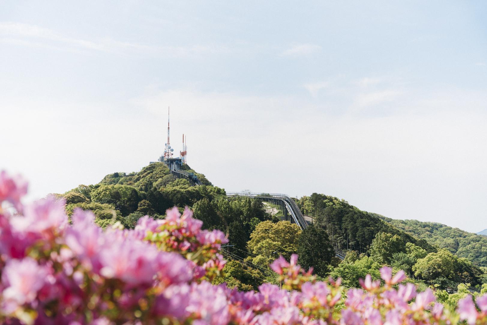 Mount Inasa Azalea Festival-5