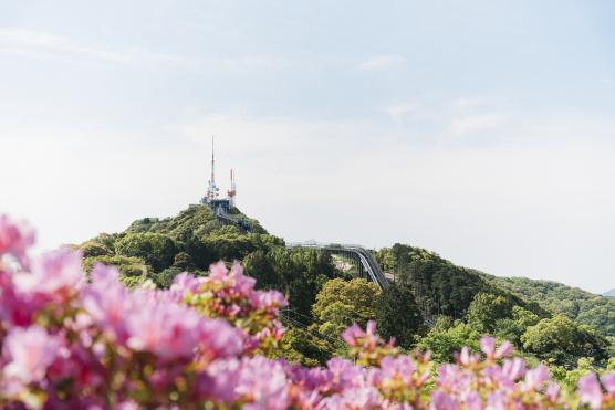 Mount Inasa Azalea Festival-5