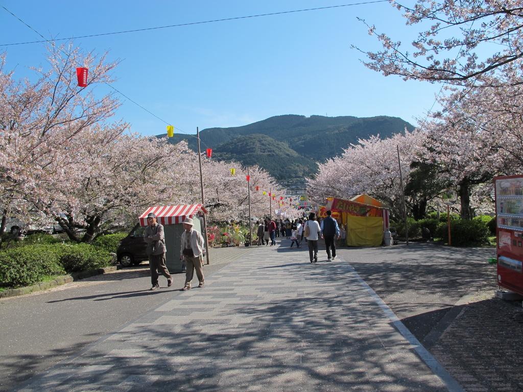 橘神社（橘公園）-3