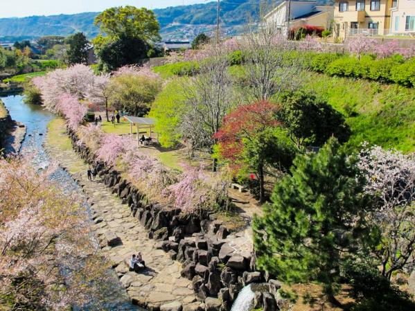 橘神社（橘公園）-3