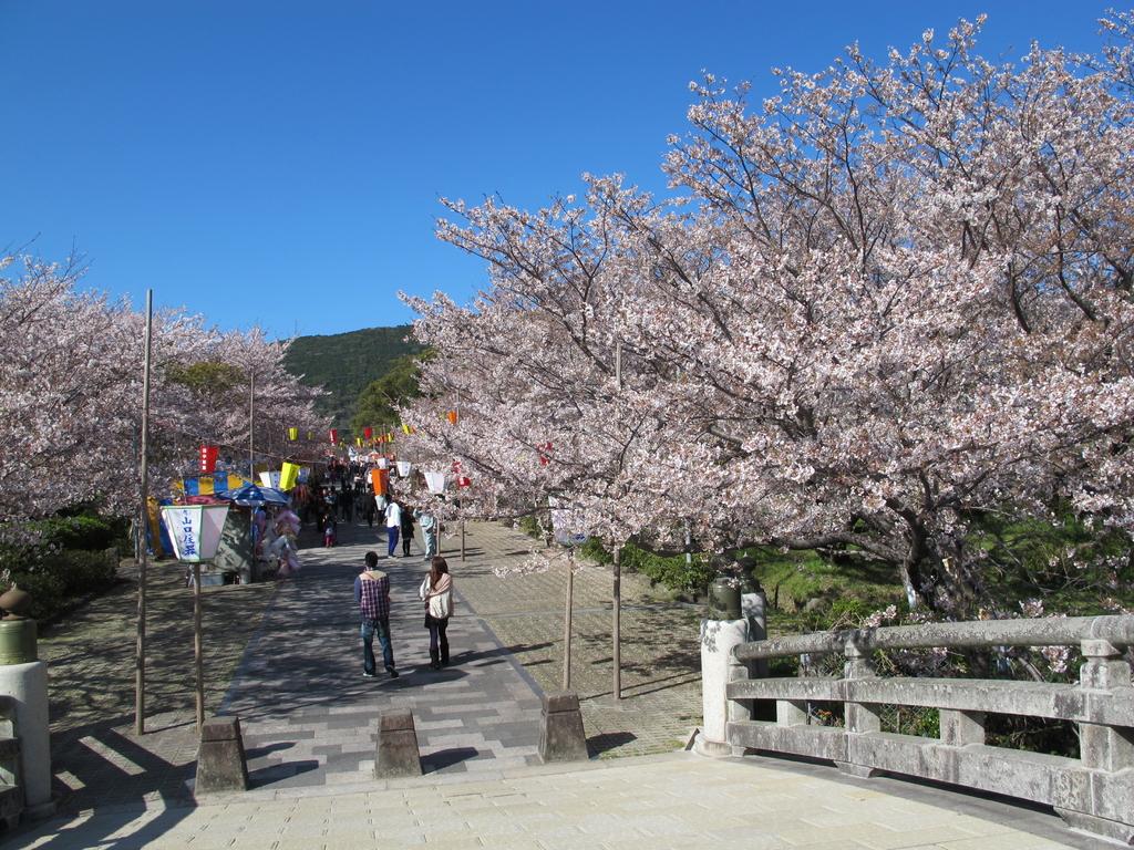 橘神社（橘公園）-0