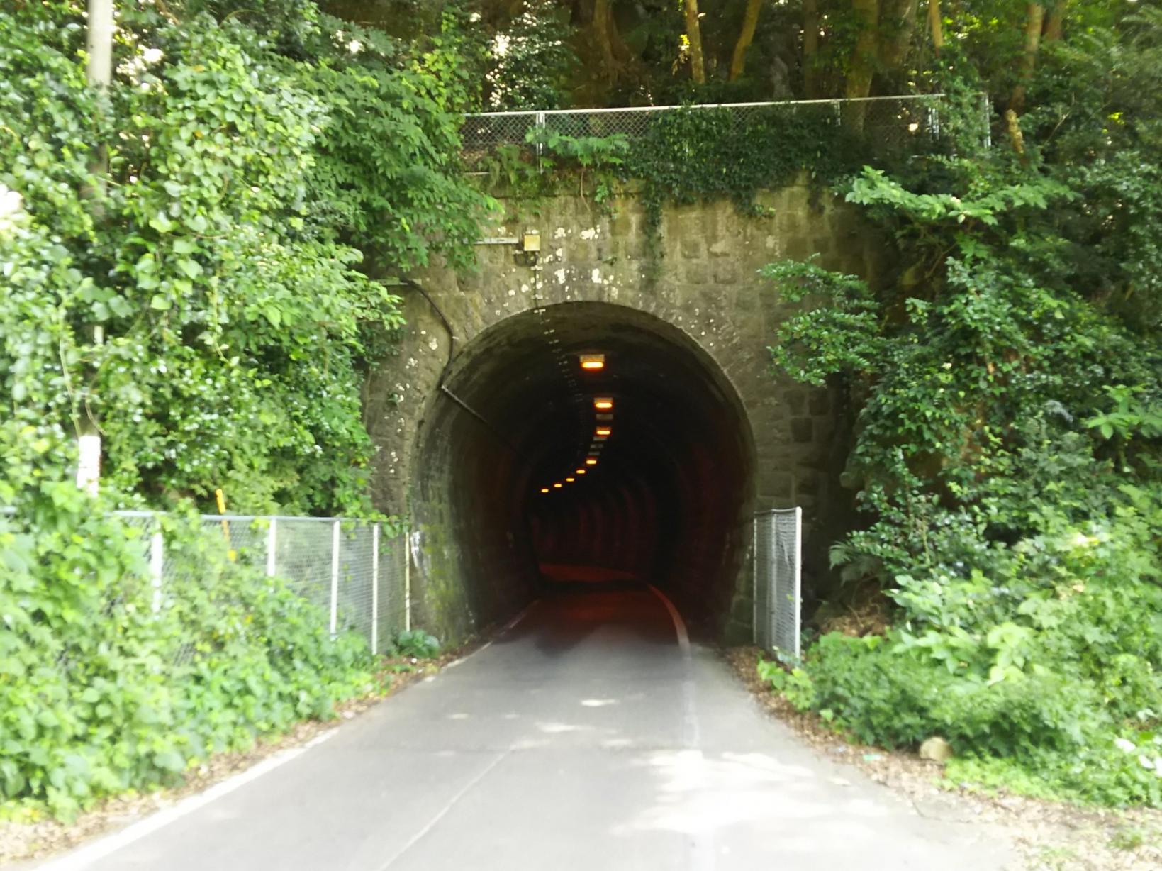 緑のトンネル-2