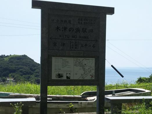 緑のトンネル-6