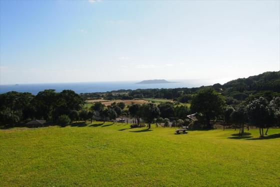 Goto Camellia Forest Park-1