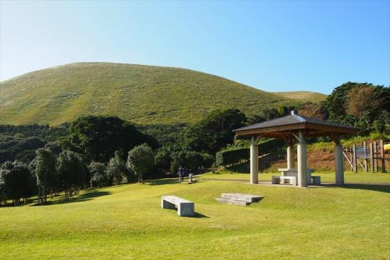 Goto Camellia Forest Park-0