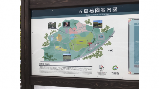 五島椿園-6