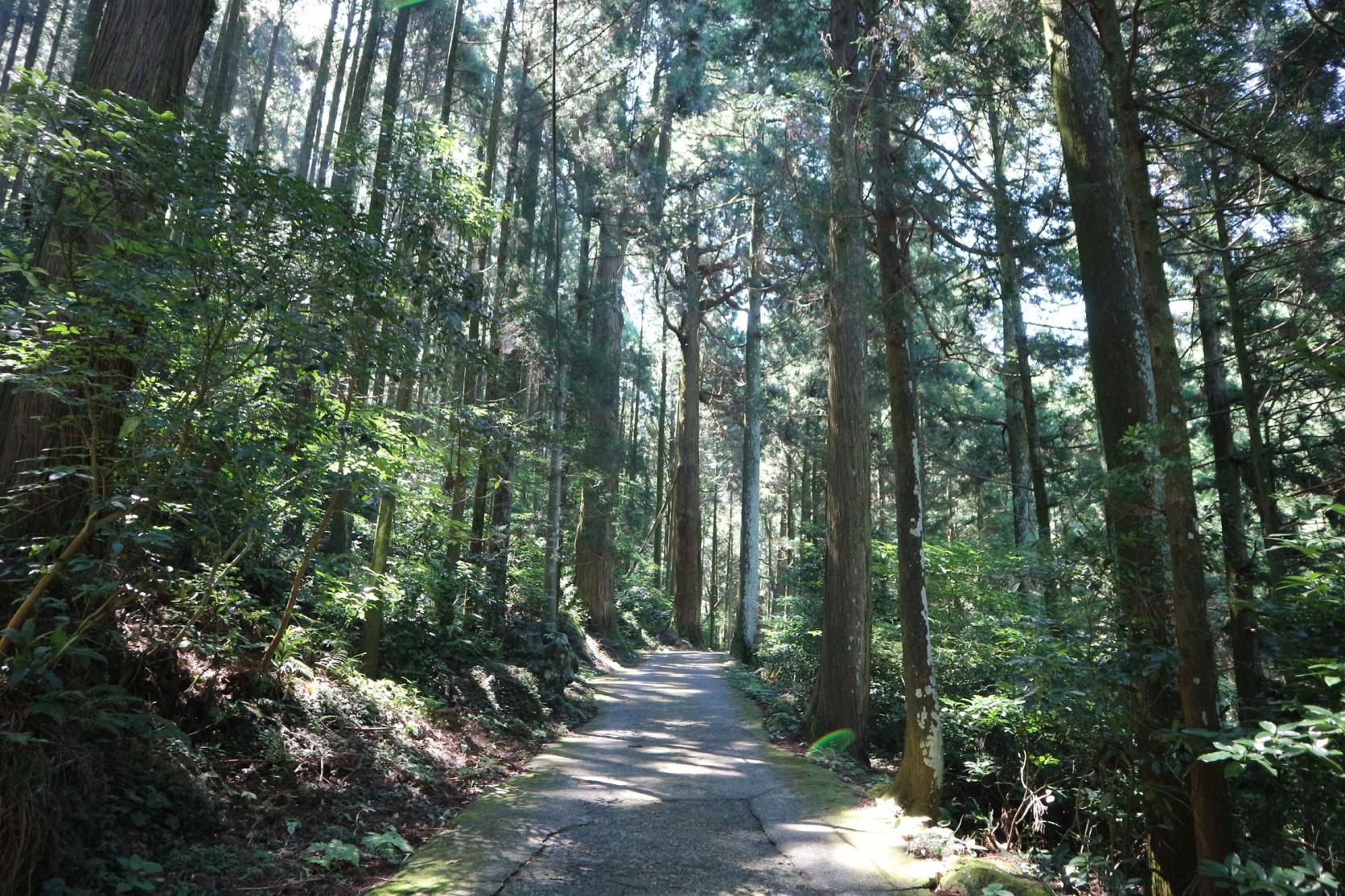 岩户神社-3