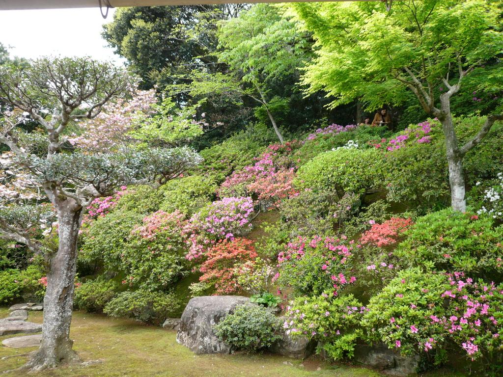 【中止】平戸お庭めぐり-3