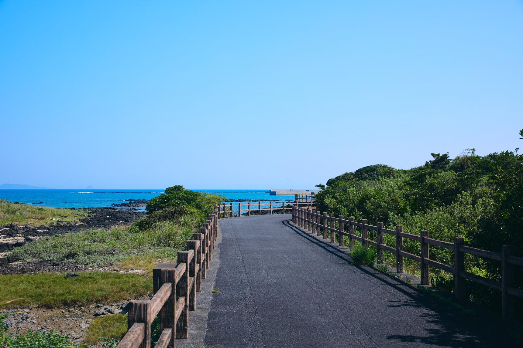 富江ブルーラインコース（サイクリング）-8