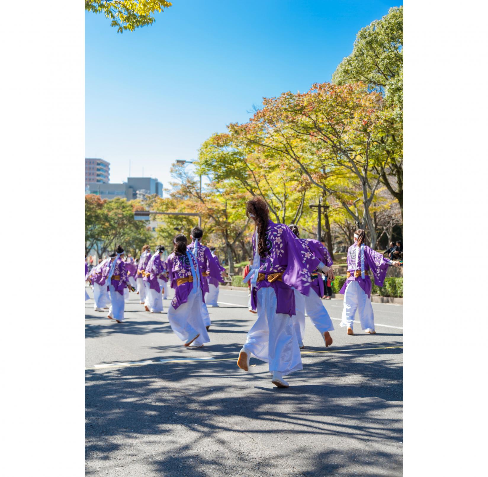 YOSAKOIさせぼ祭り-7