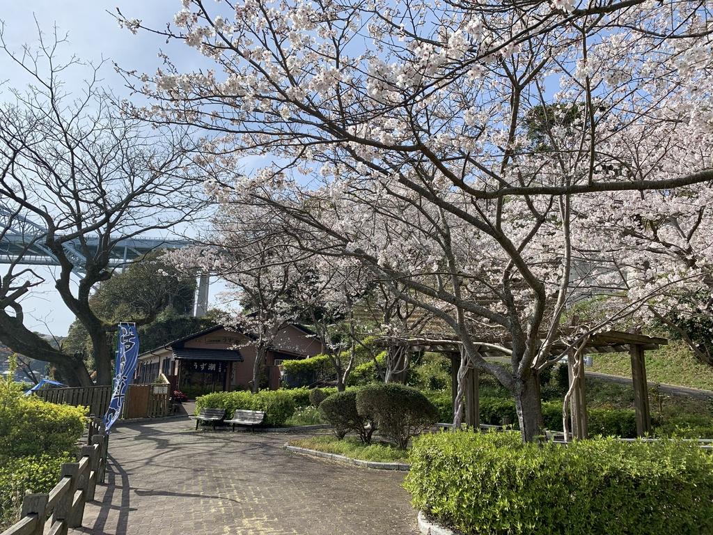Saikai Bashi Bridge Whirlpool Festival-6