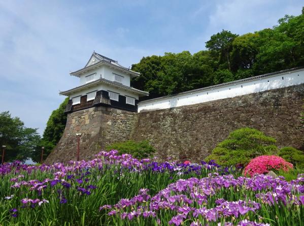 Omura Flower Festival-8