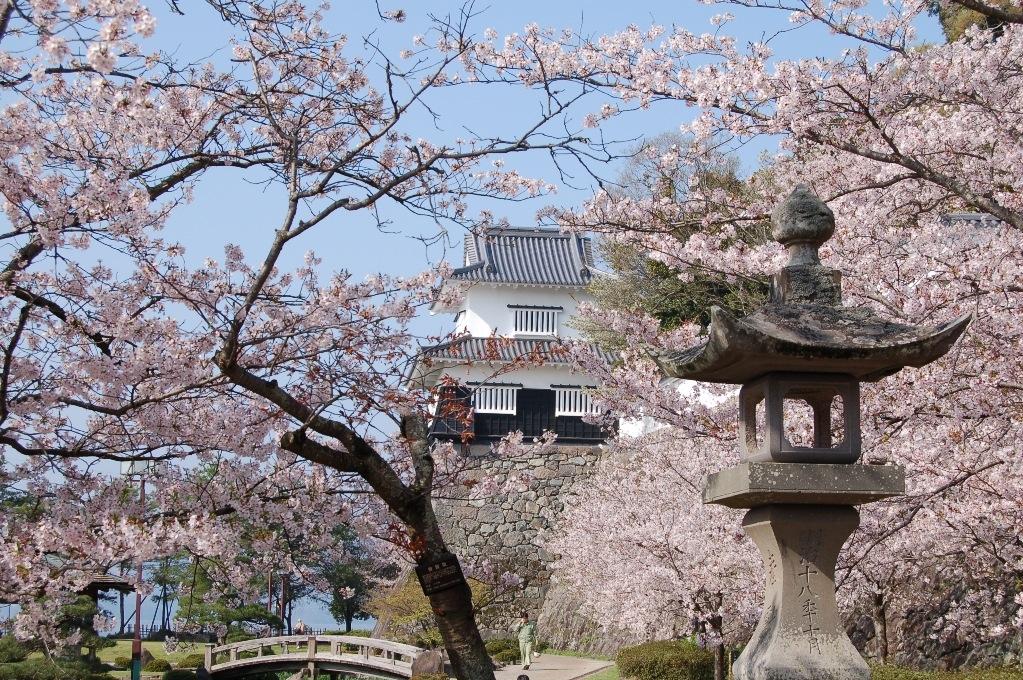 おおむら花まつり-1