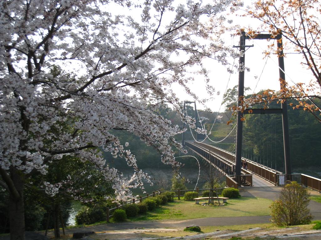 おおむら花まつり-3