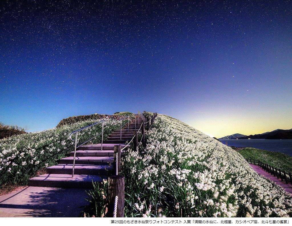 2025 Nomozaki Daffodil Festival-9