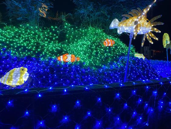 Shimabara Winter Night Fantasia-2