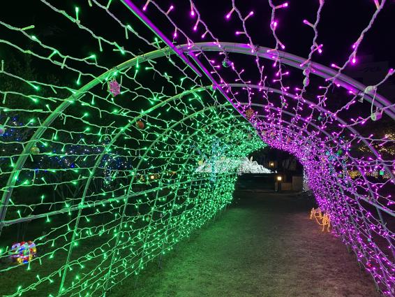 Shimabara Winter Night Fantasia-1