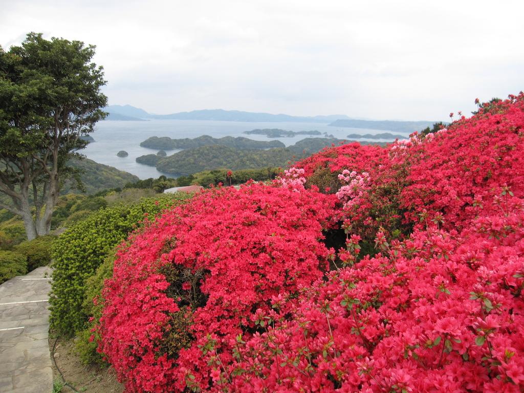 Nagushiyama Azalea Festival-2