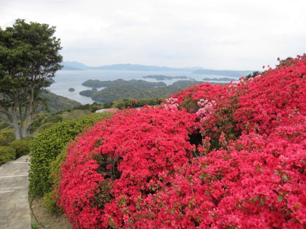Nagushiyama Azalea Festival-2