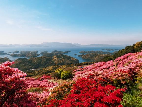 長串山杜鵑花節-7