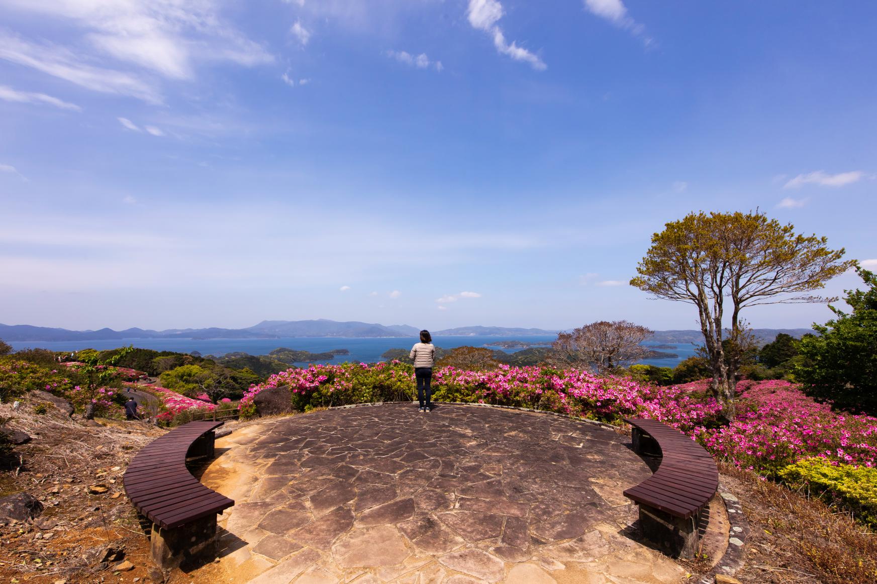 長串山杜鵑花節-5