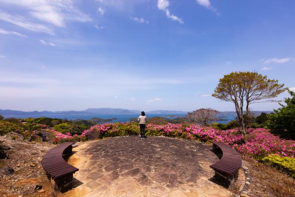 長串山杜鵑花節-5
