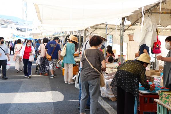 Haiki Tea Fair-3
