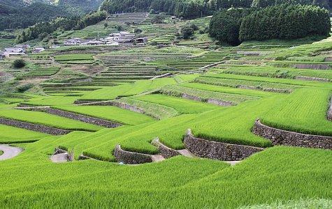 【1日目】13:20　鬼木棚田-1