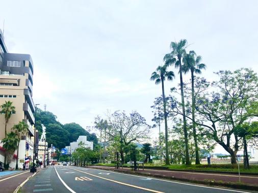 ジャカランダ（小浜温泉）-6